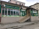 Знаток (ул. Бота Гагиева, 1, Магас), магазин канцтоваров в Магасе