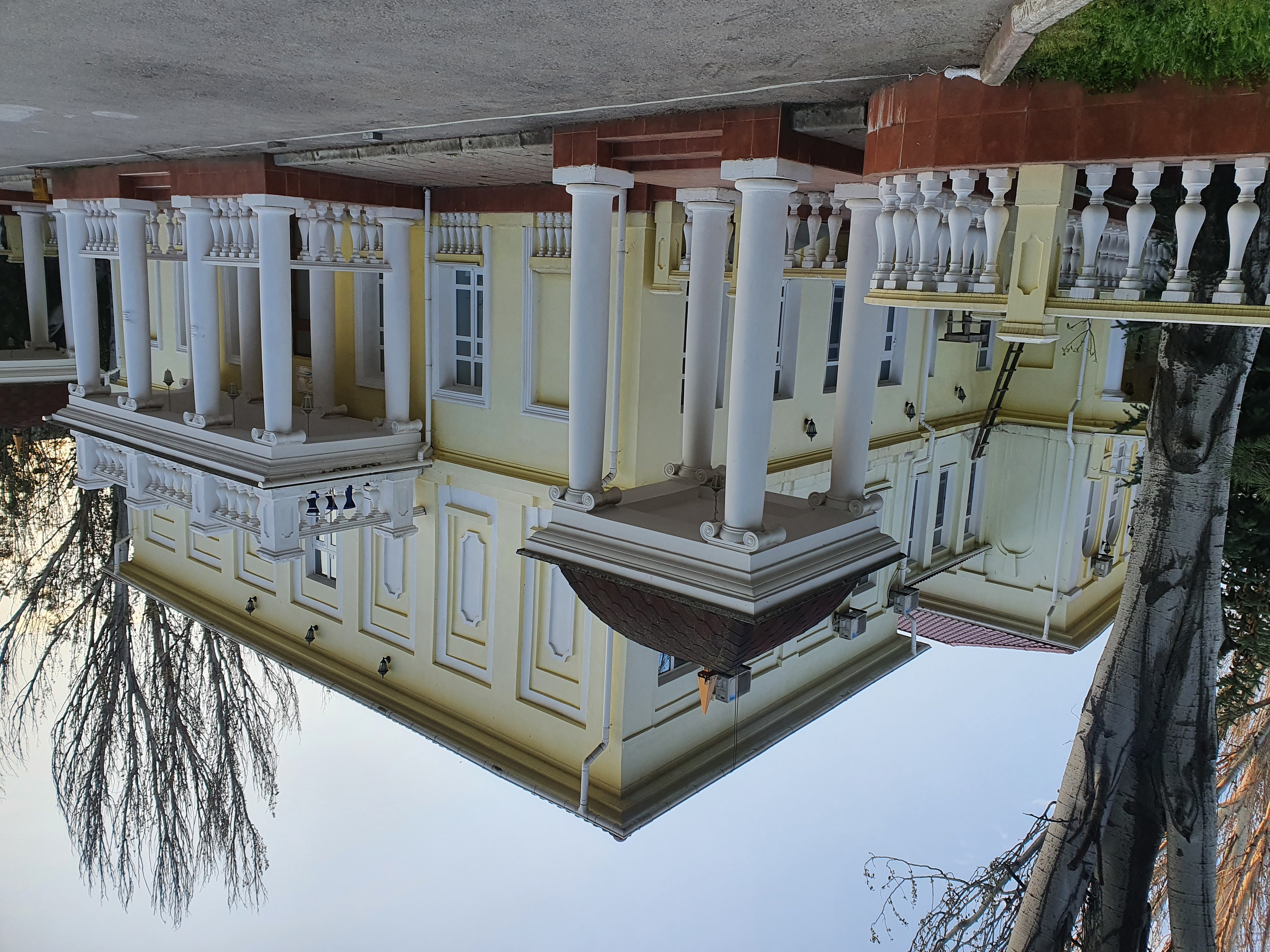 Фото Светлая