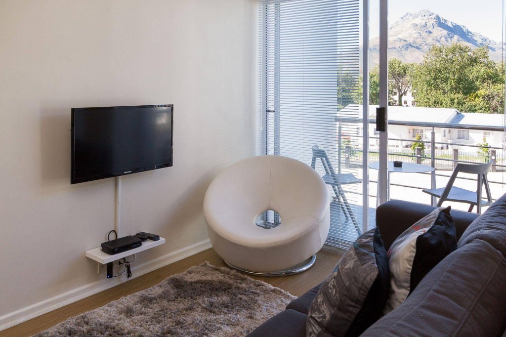 Фото Wink Quiver Tree