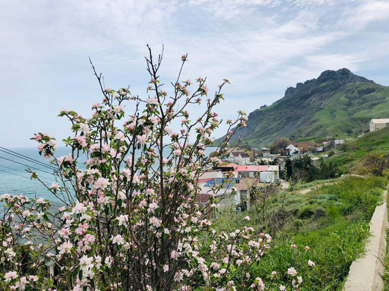 Фото Белый Грифон