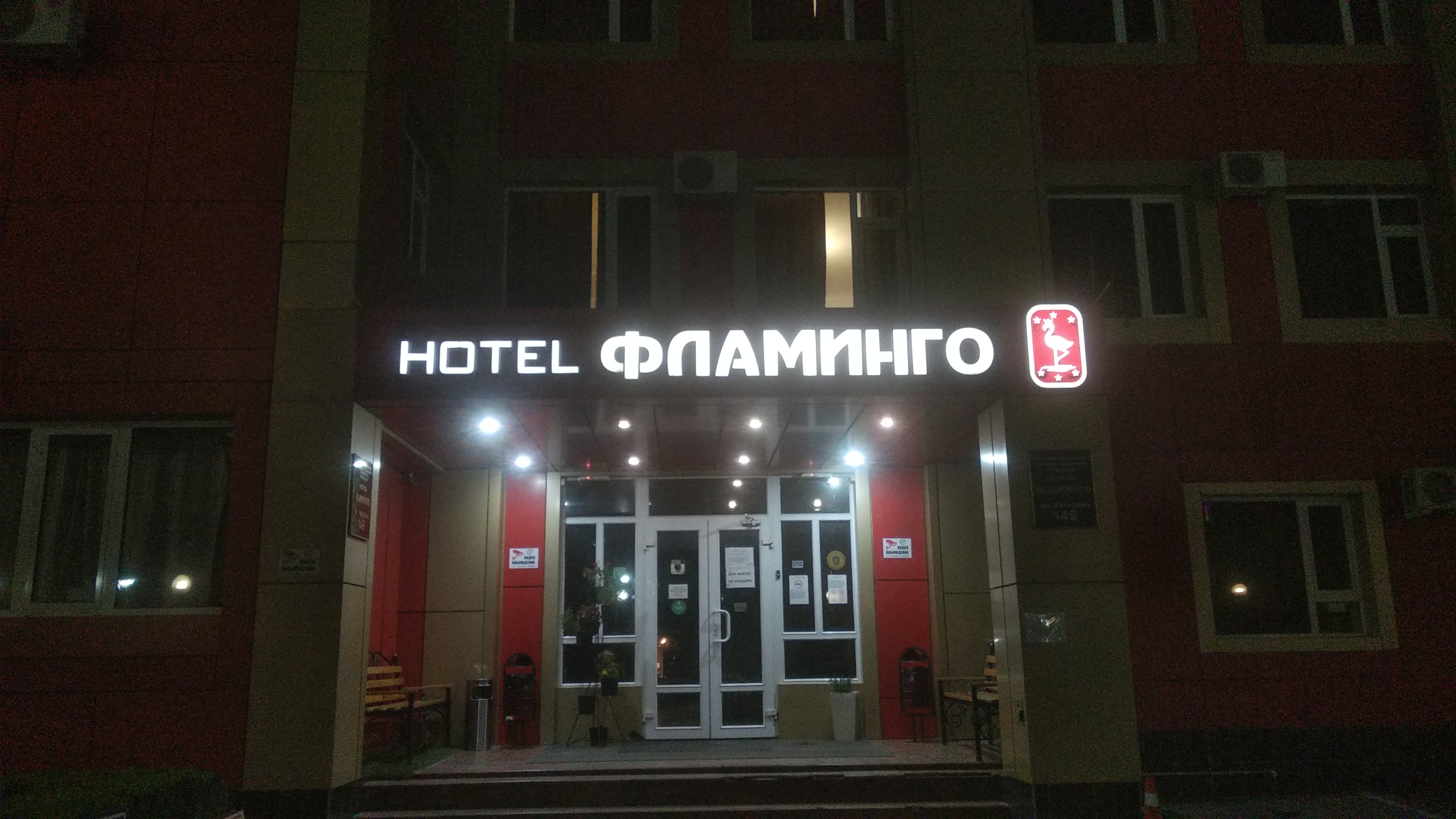 Фото Фламинго