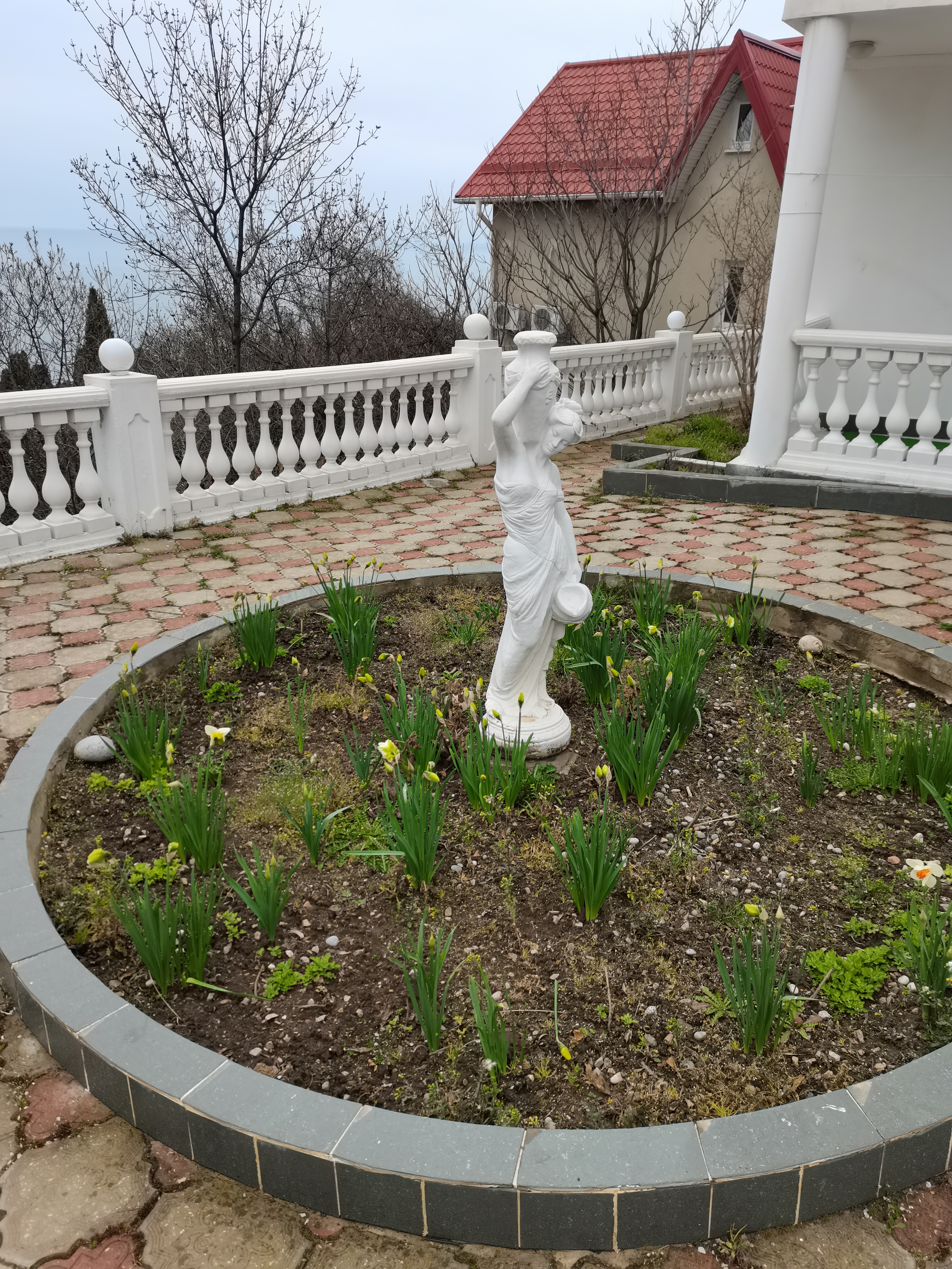 Фото Климентина