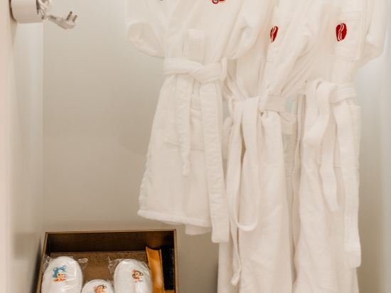 Фото Ramada Plaza Wuhan Huangpi