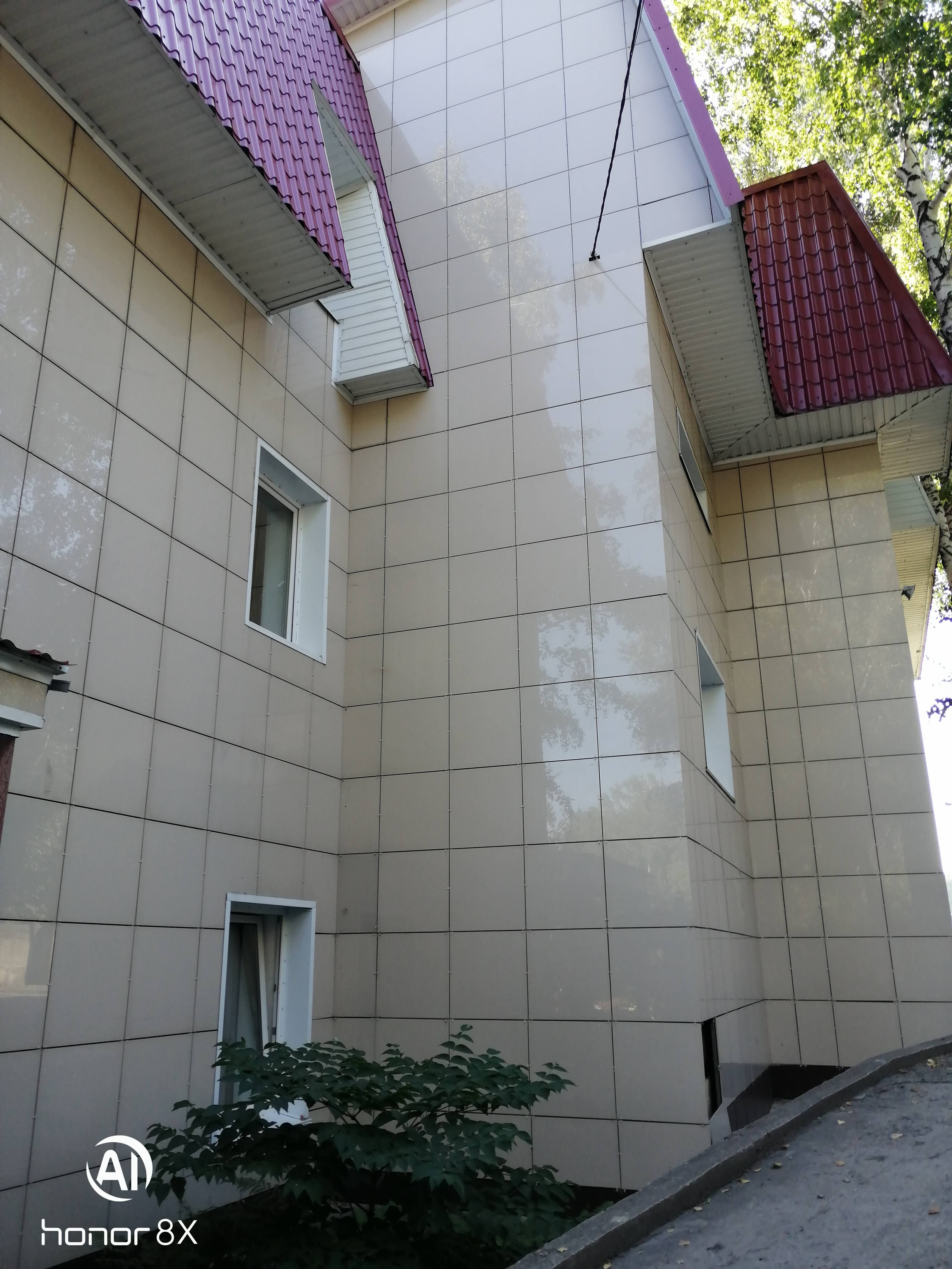 Фото Рыжий пёс