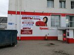 Цветы (Babicha Street, 19), fertilizantes