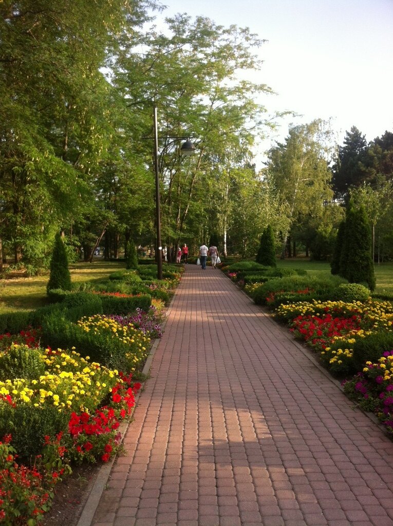 Парк культуры и отдыха Ботанический сад им. И. С. Косенко, Краснодар, фото