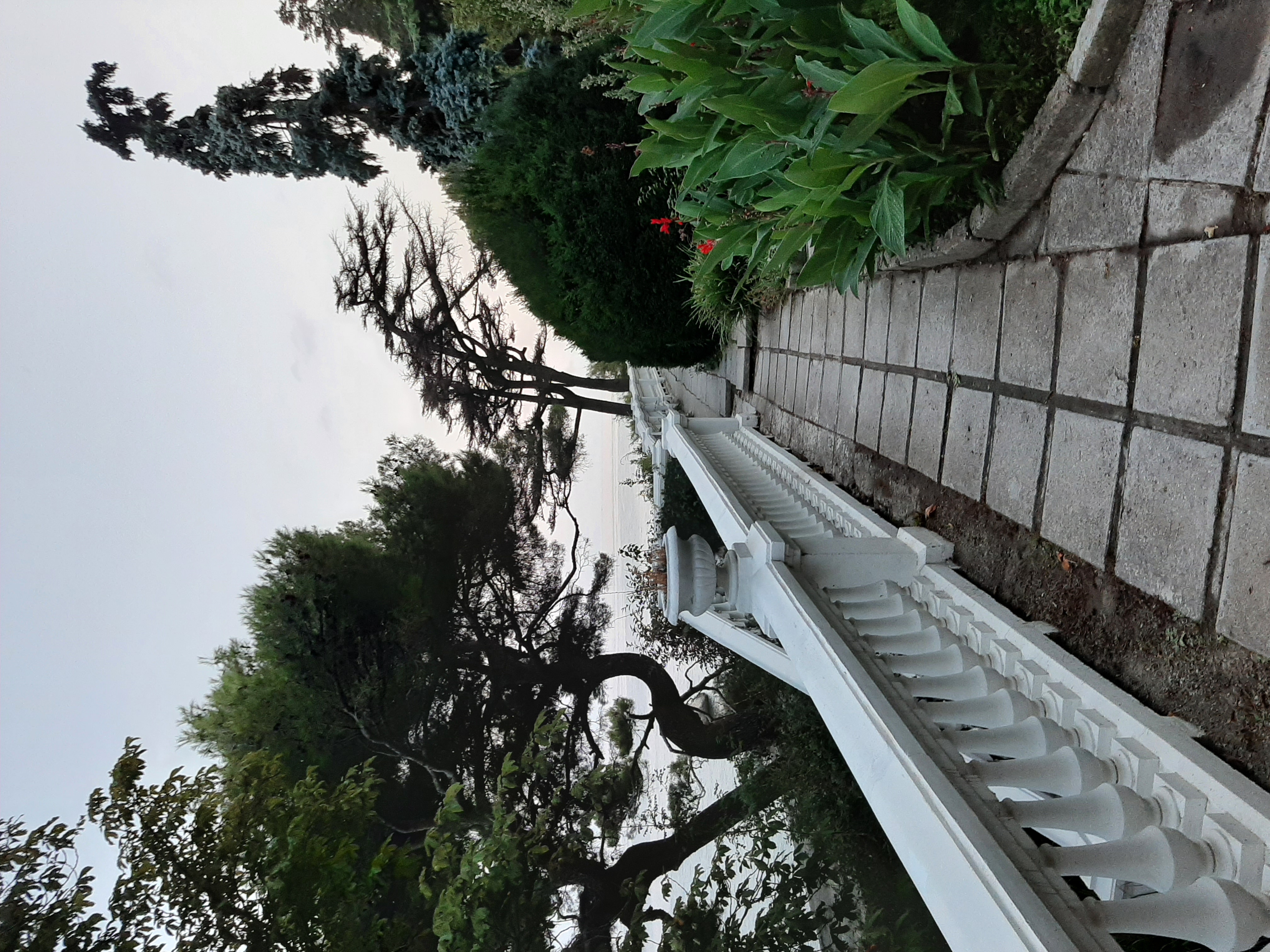 Фото Лиго Морская