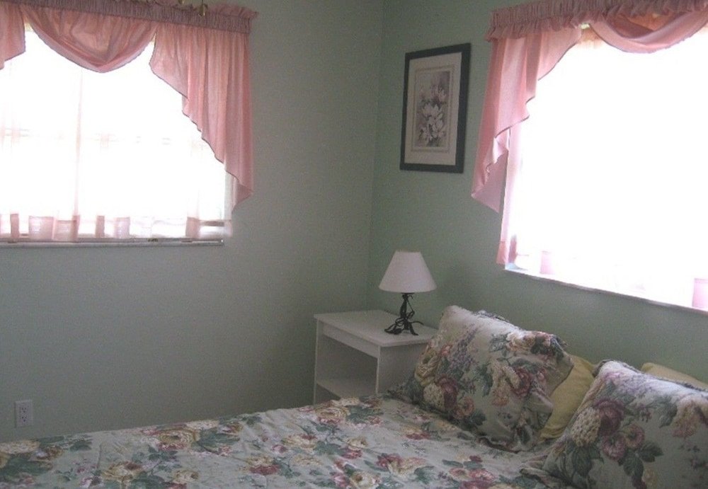 Фото Palm Tree by 123cape Vr