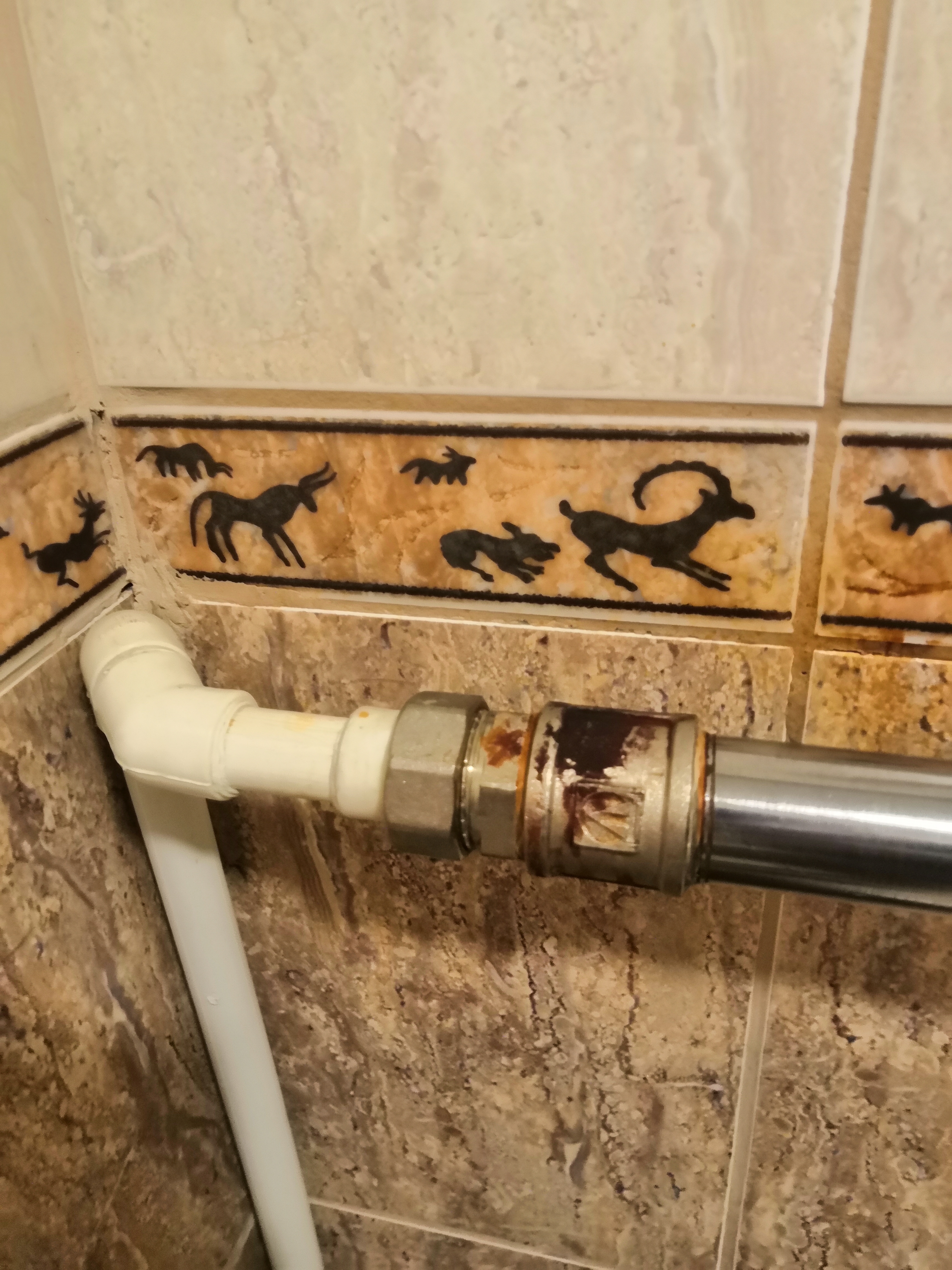 Фото Корела