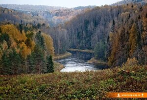 Вепсский Лес (Ленинградская область, Природный парк Вепсский лес), природа в Санкт‑Петербурге и Ленинградской области