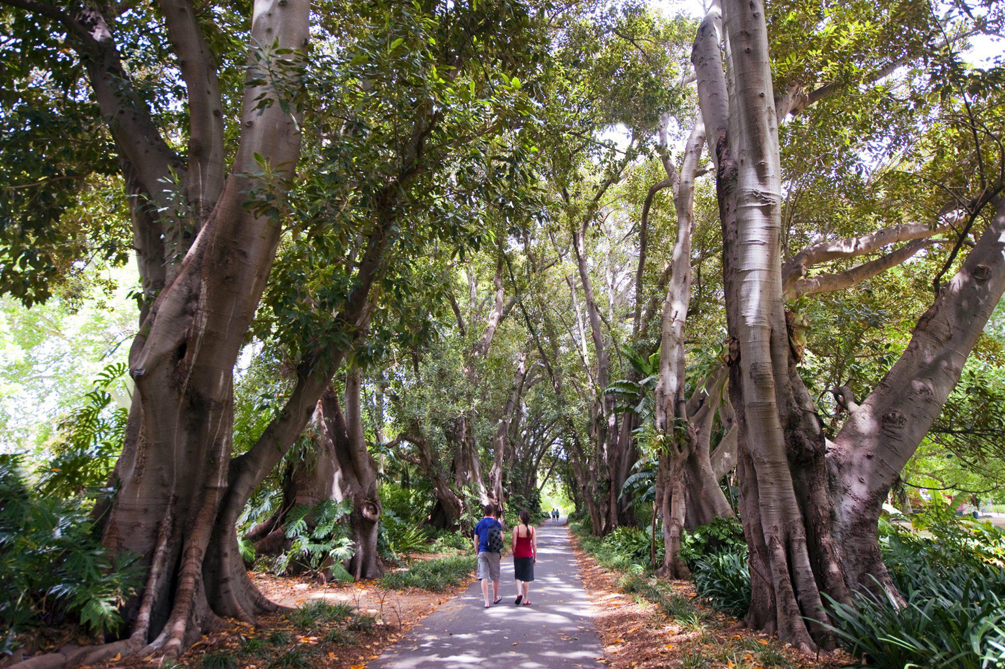 Фото Crowne Plaza by IHG Adelaide