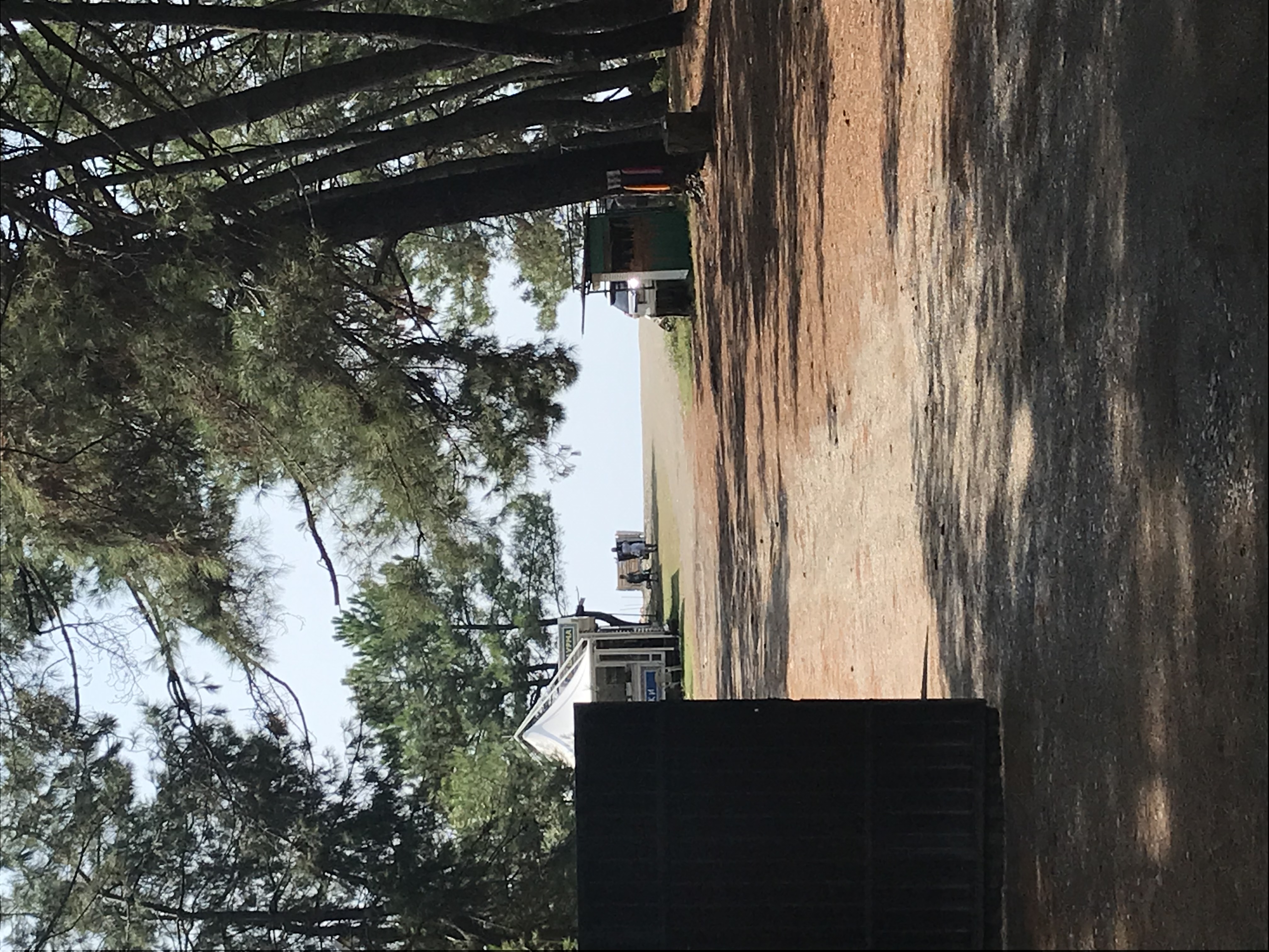 Фото Forest Club