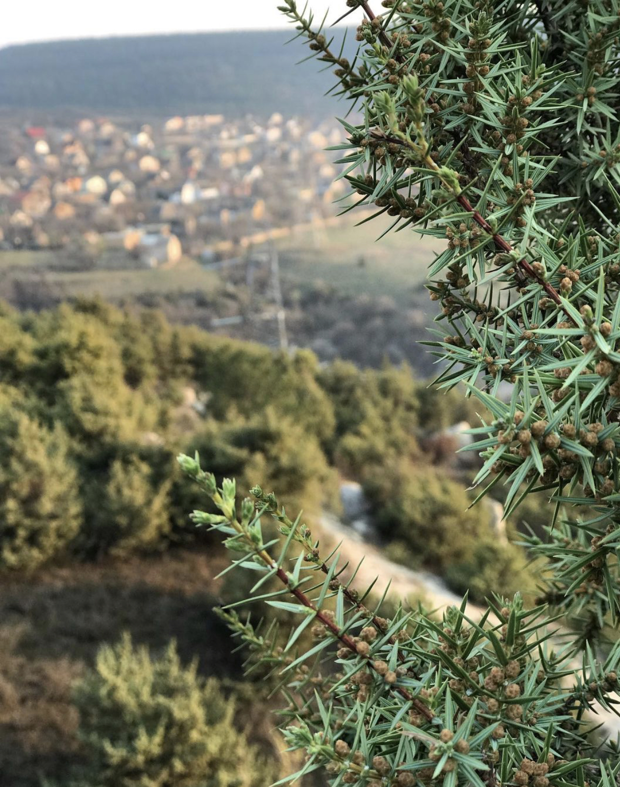 Фото Бекхан