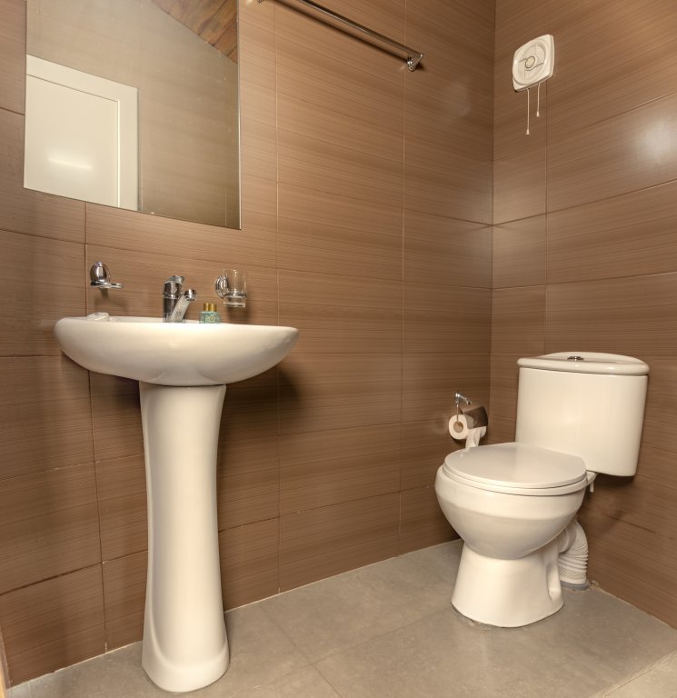 Фото Vedzisi garden hotel