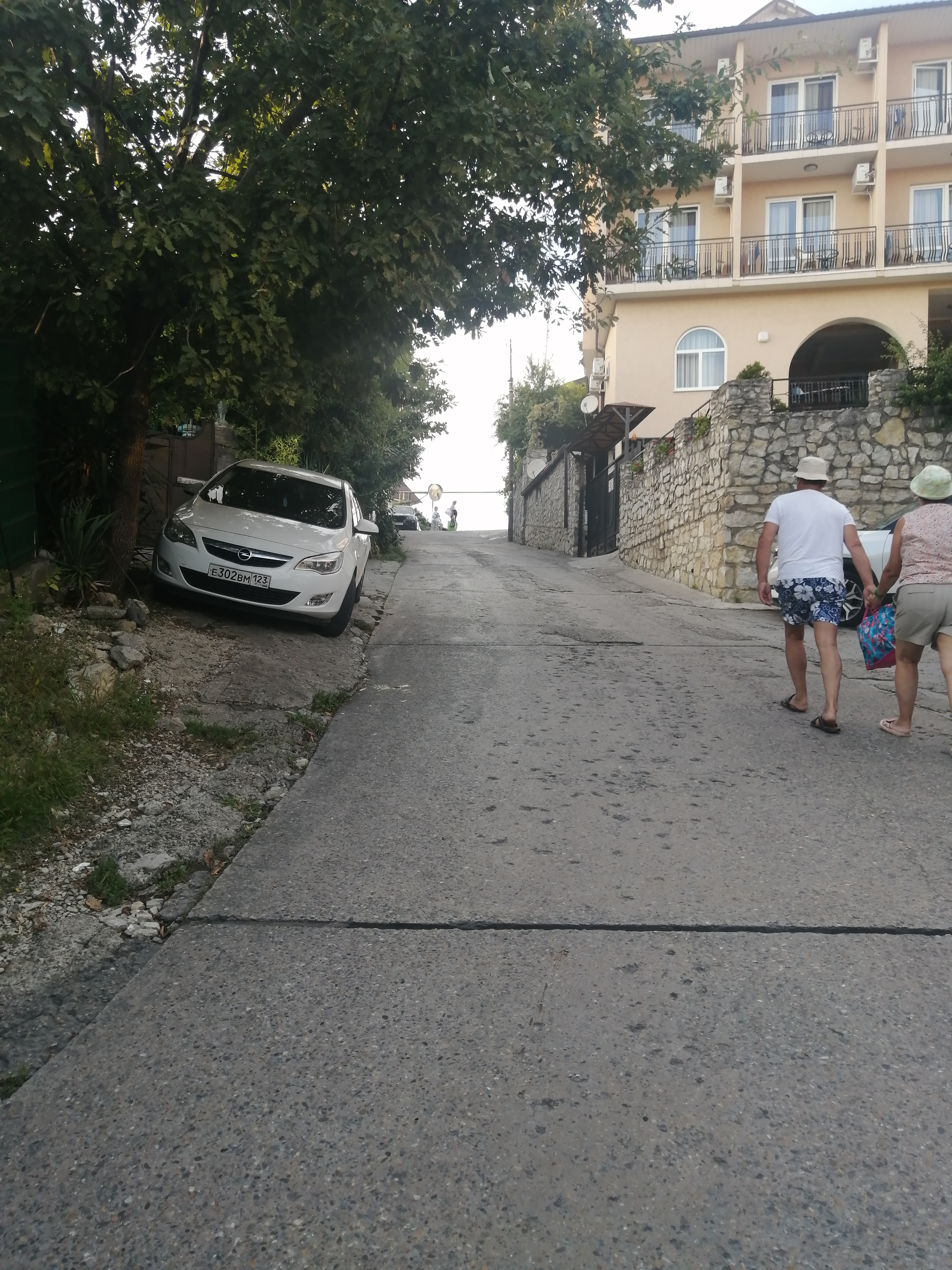 Фото Энсино