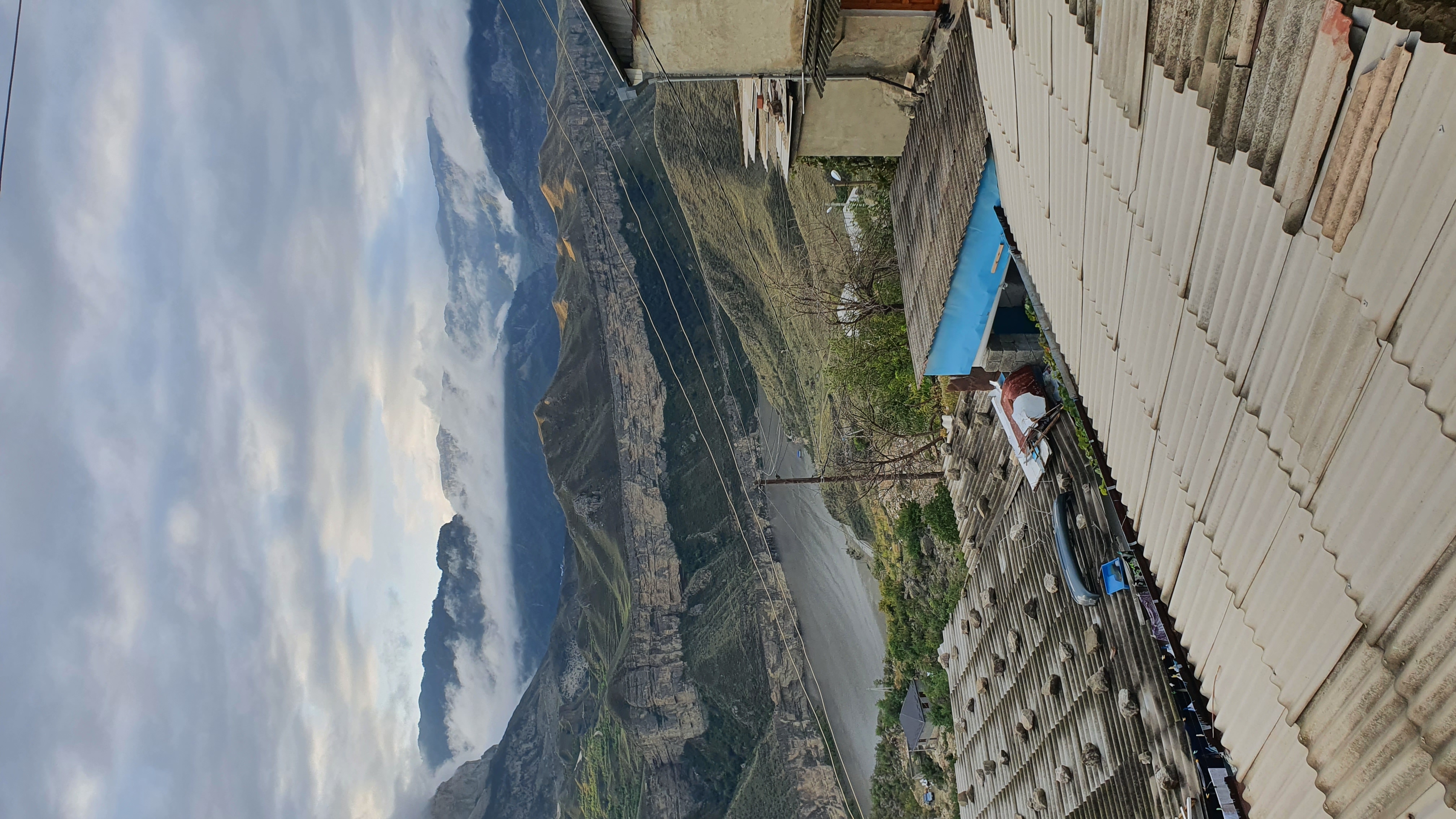 Фото Родное гнездо