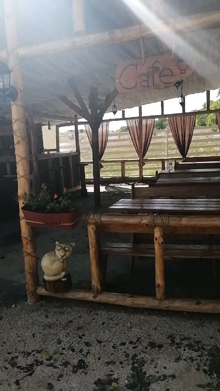 Фото Sea Forever