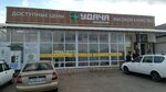 Удачный городок (Lenina Street, 361), grocery