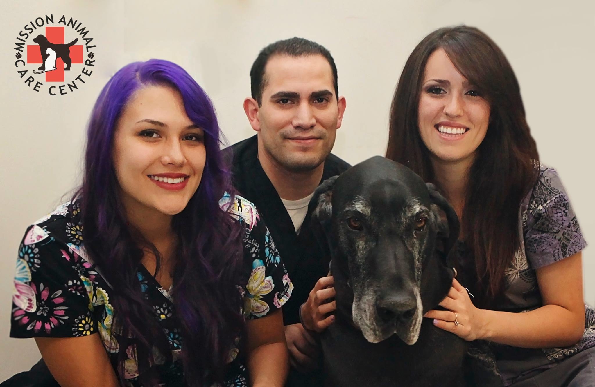 Mission veterinary clinic 2025