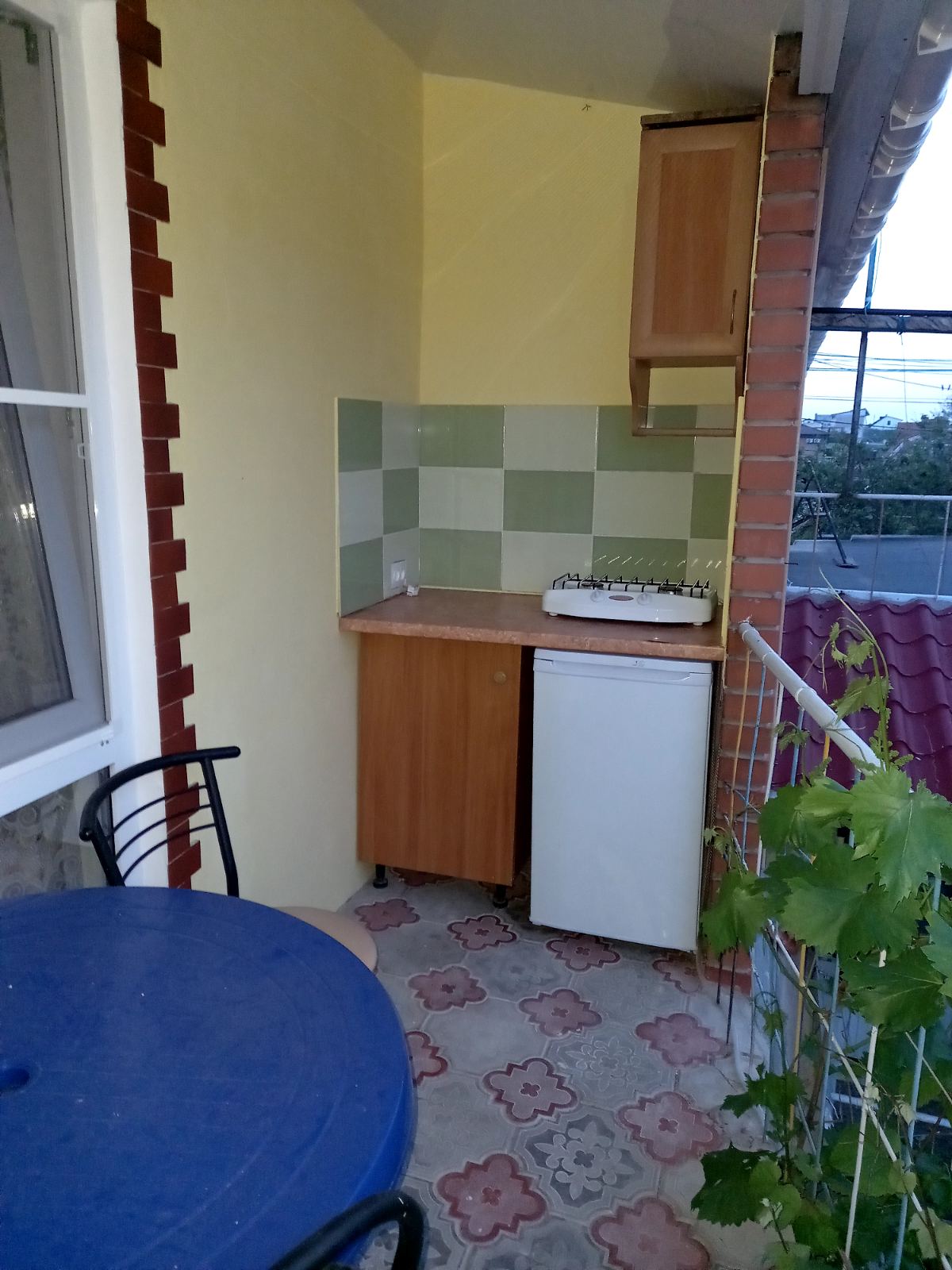 Фото Экзотик