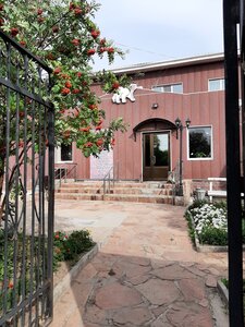 Ayu (Kırdıshev kóshesi, 69), hotel