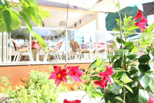 Гостиница Malerwinkl - Kunsthotel в Штирии