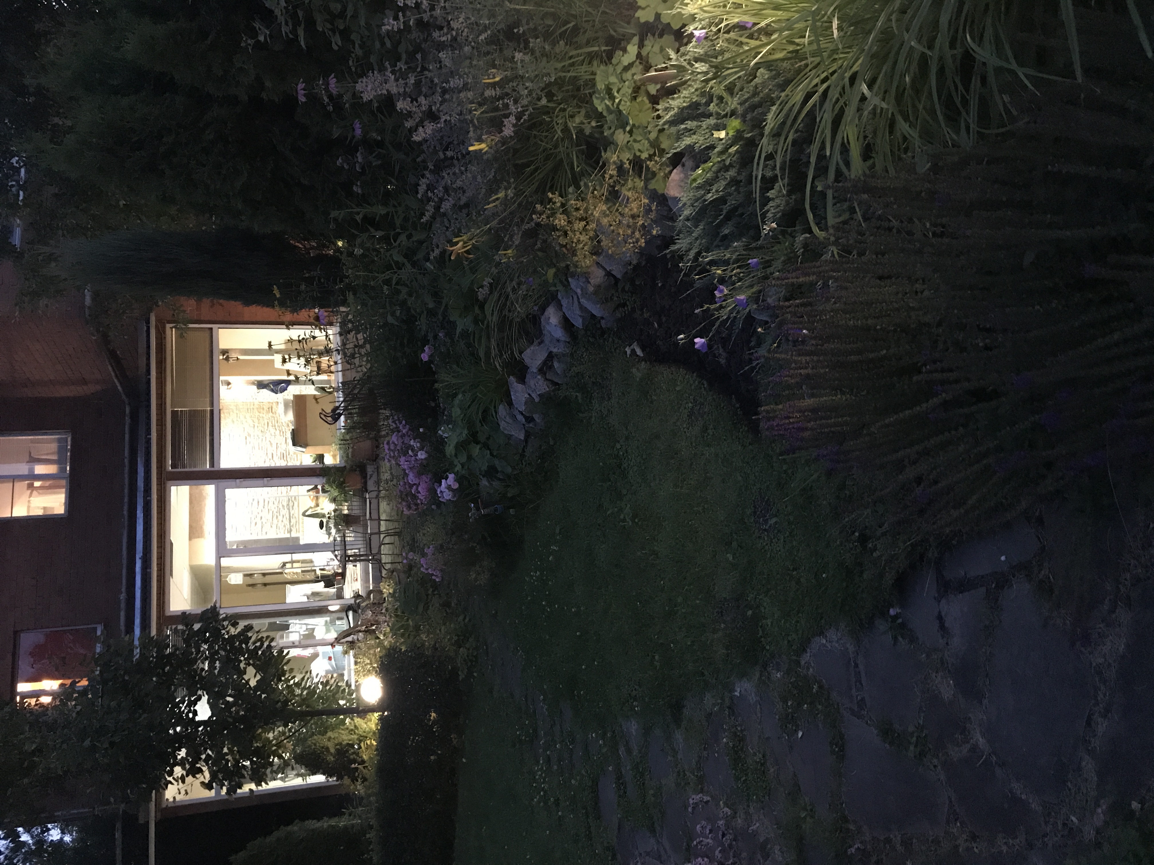 Фото Русский лес