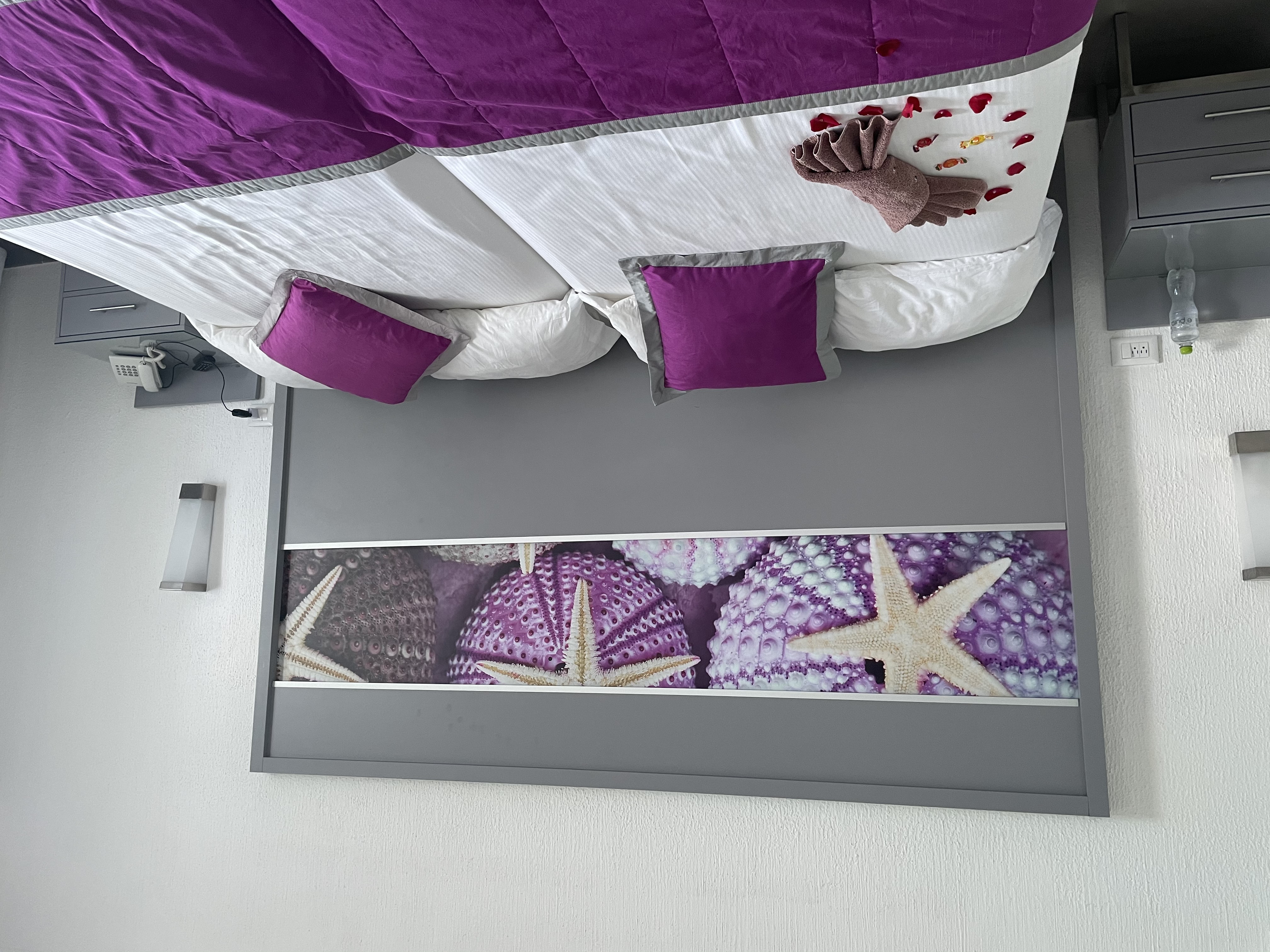 Фото Hotel Riu Cancun