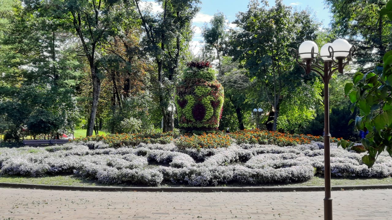 Фото Джамиля