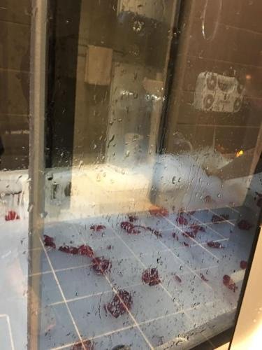 Фото Moon and Star