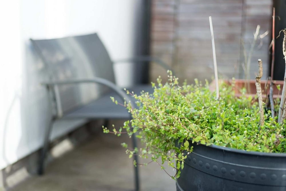 Фото Trendy 1br Home in Islington With Balcony!