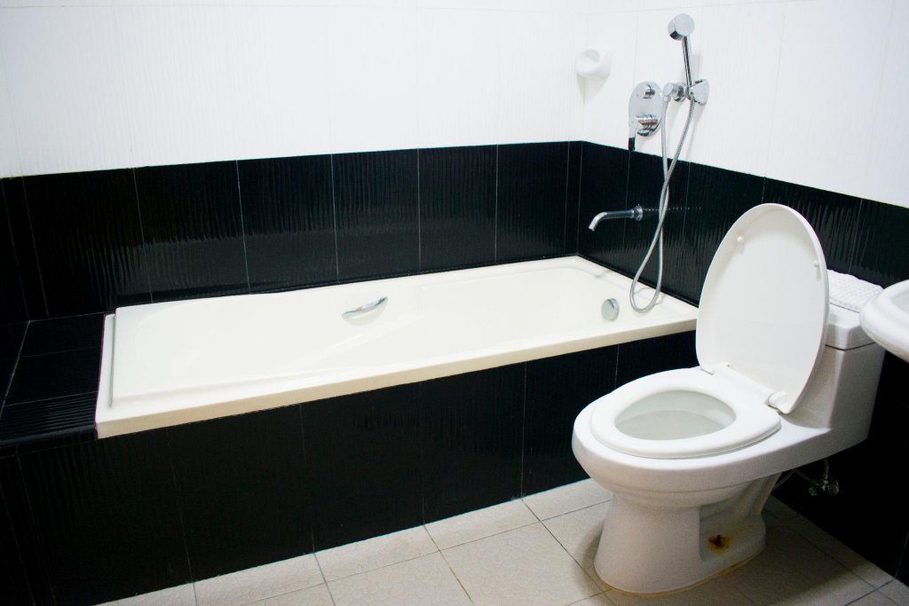 Фото Royal Mansion Hotel