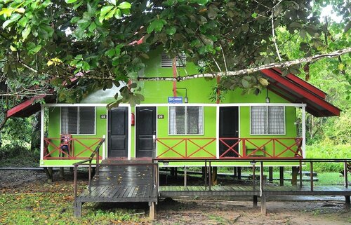 Внешний вид отеля Sukau Greenview Bed and Breakfast в Сукау, фото 2