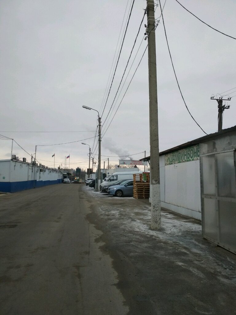 Автомобильная парковка Парковка, Белгород, фото