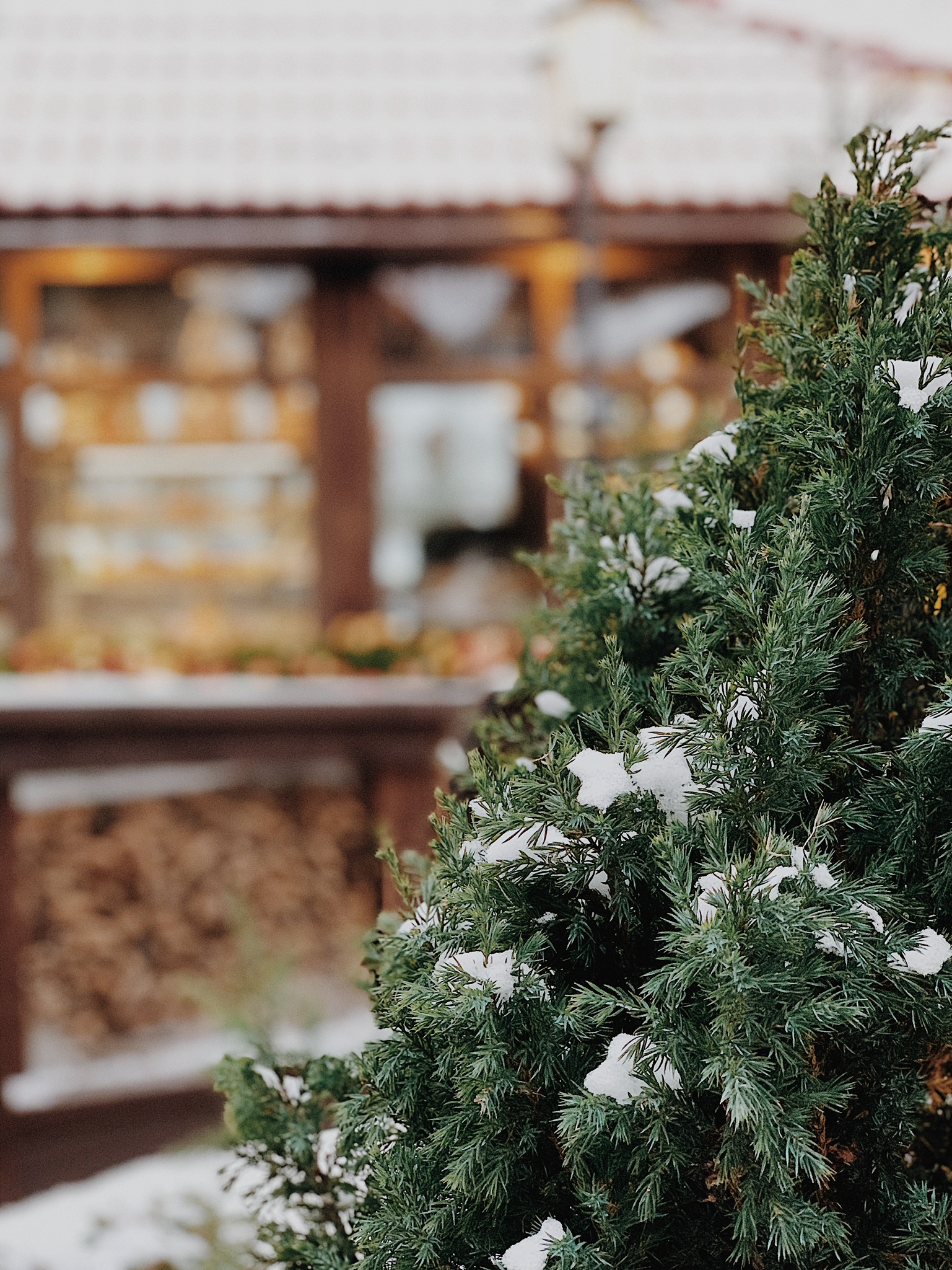 Фото Fish Point Family Resort