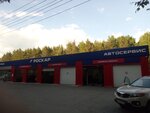 Roscar (ulitsa Bogdana Khmelnitskogo, 4), car service, auto repair