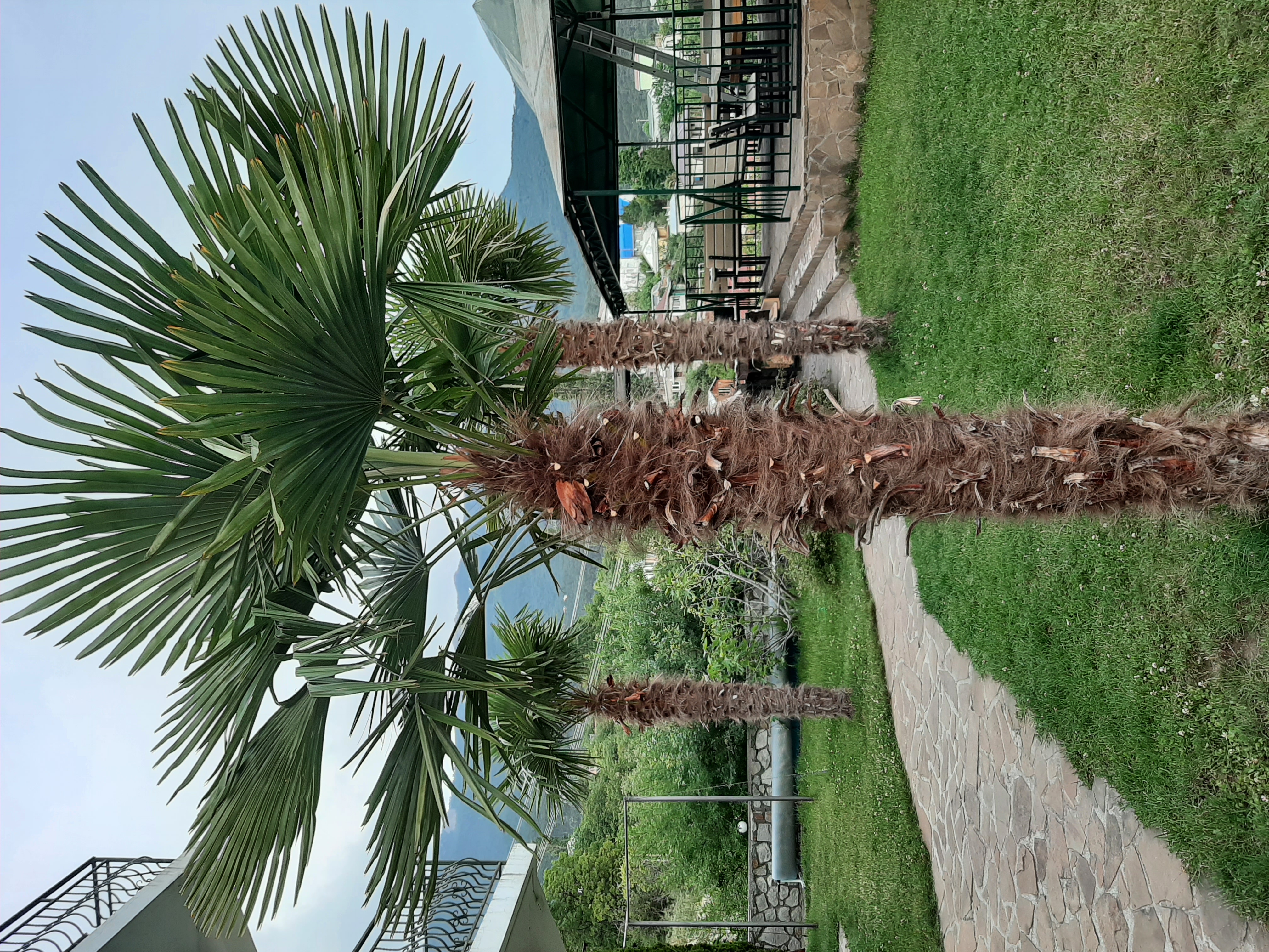 Фото Над морем