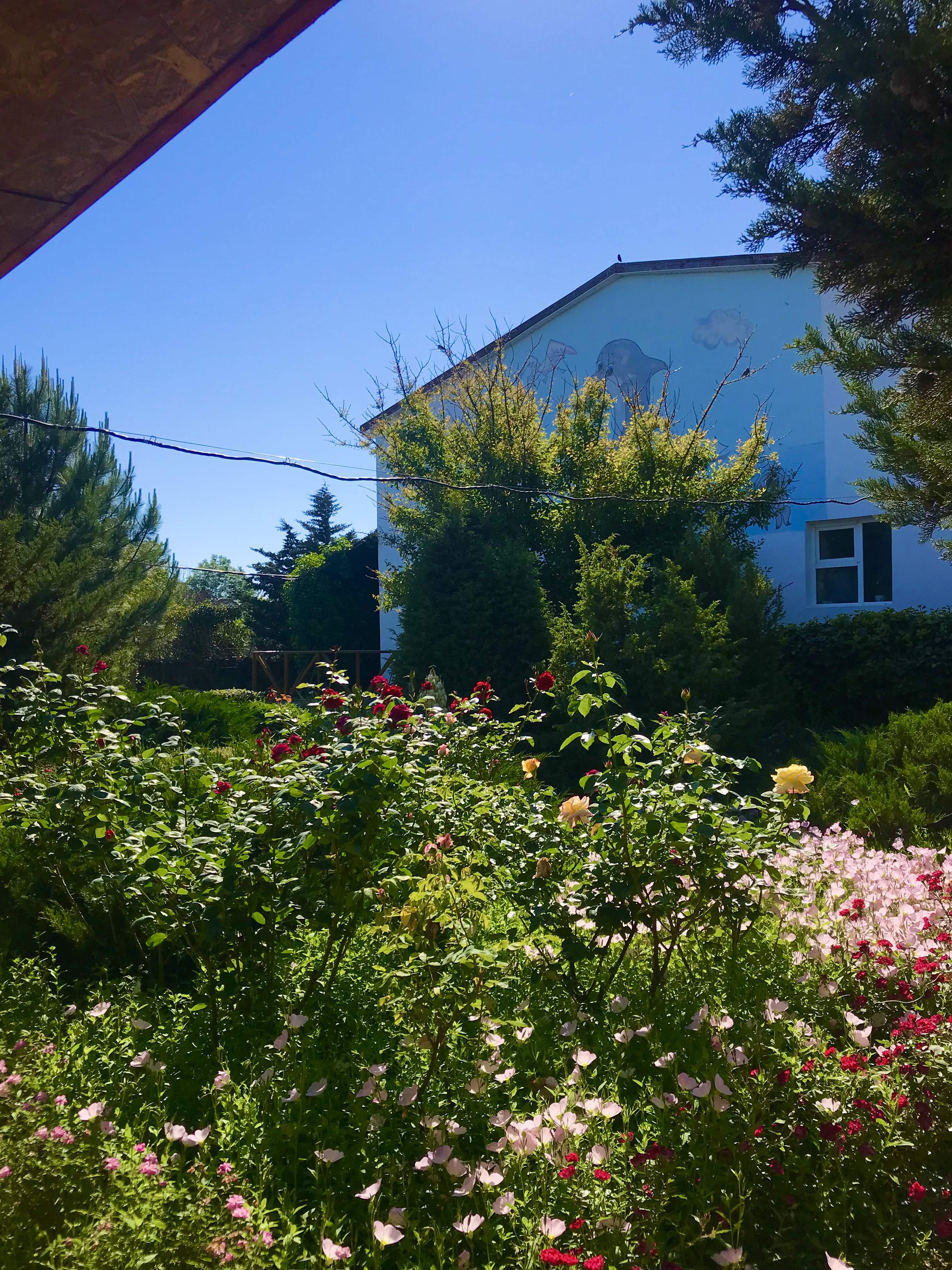 Фото Усадьба Афалина