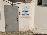 Уралочка (улица Карла Маркса, 26), sports school