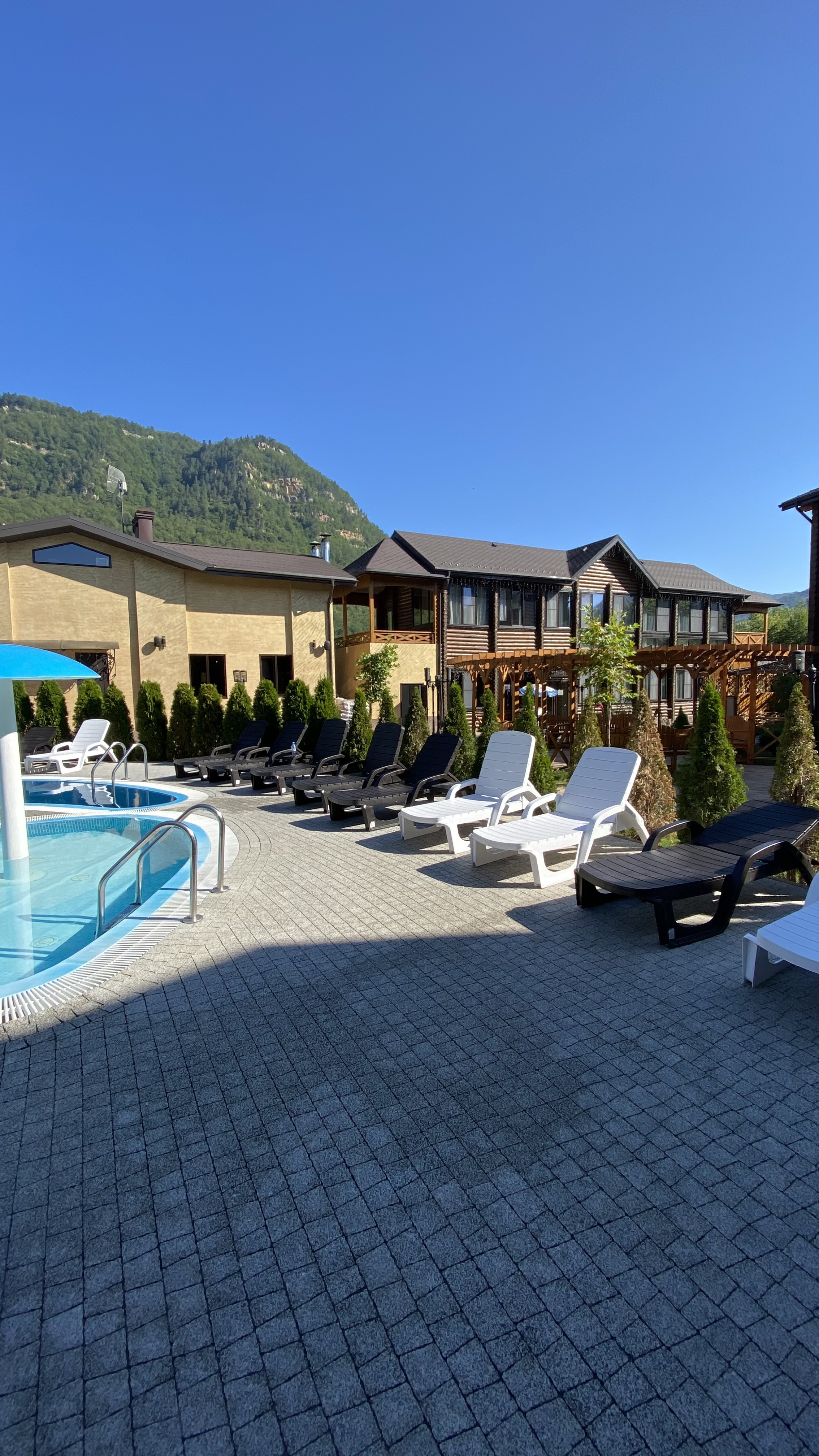 Фото Династия