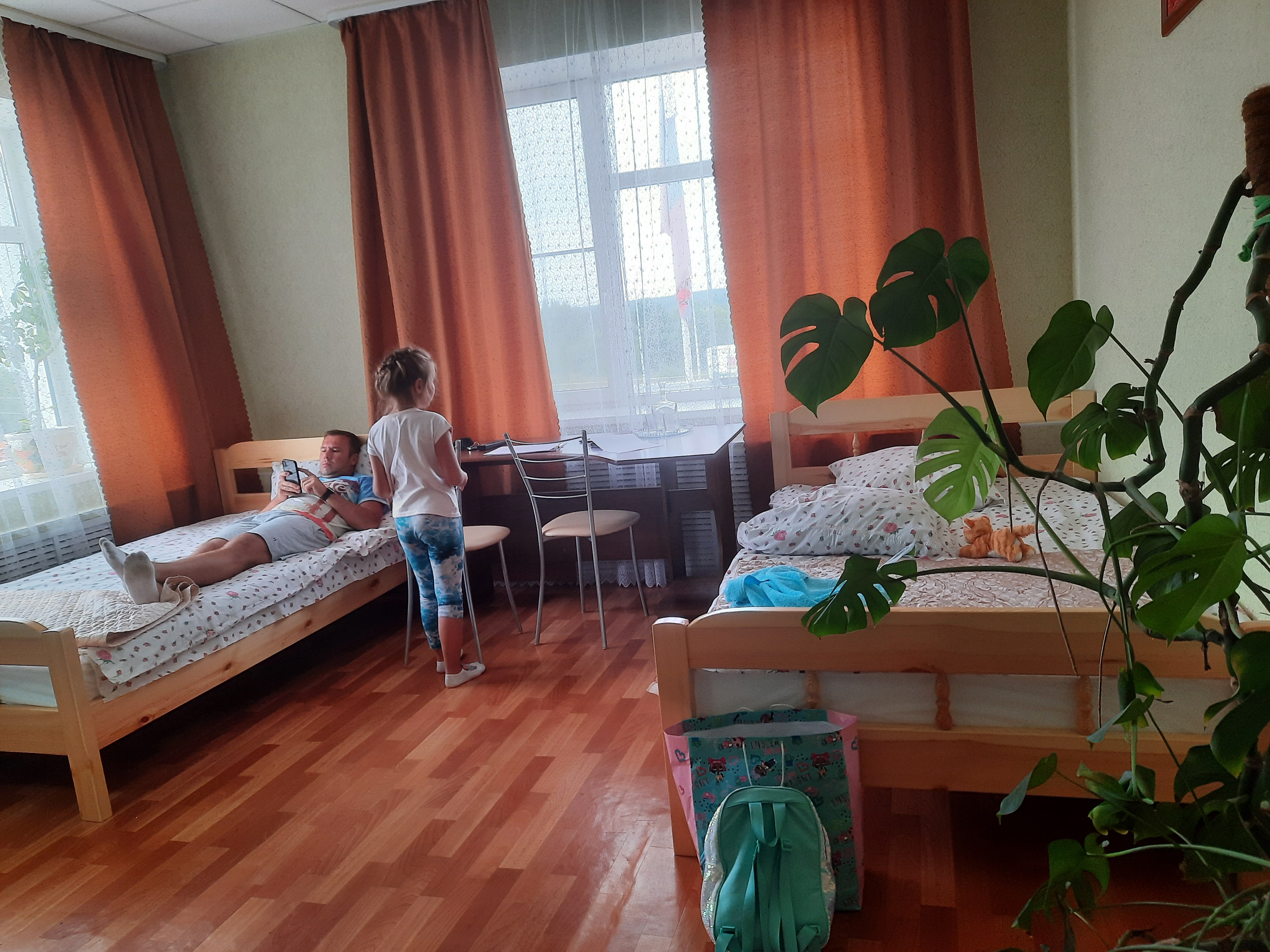 Фото Ромашка