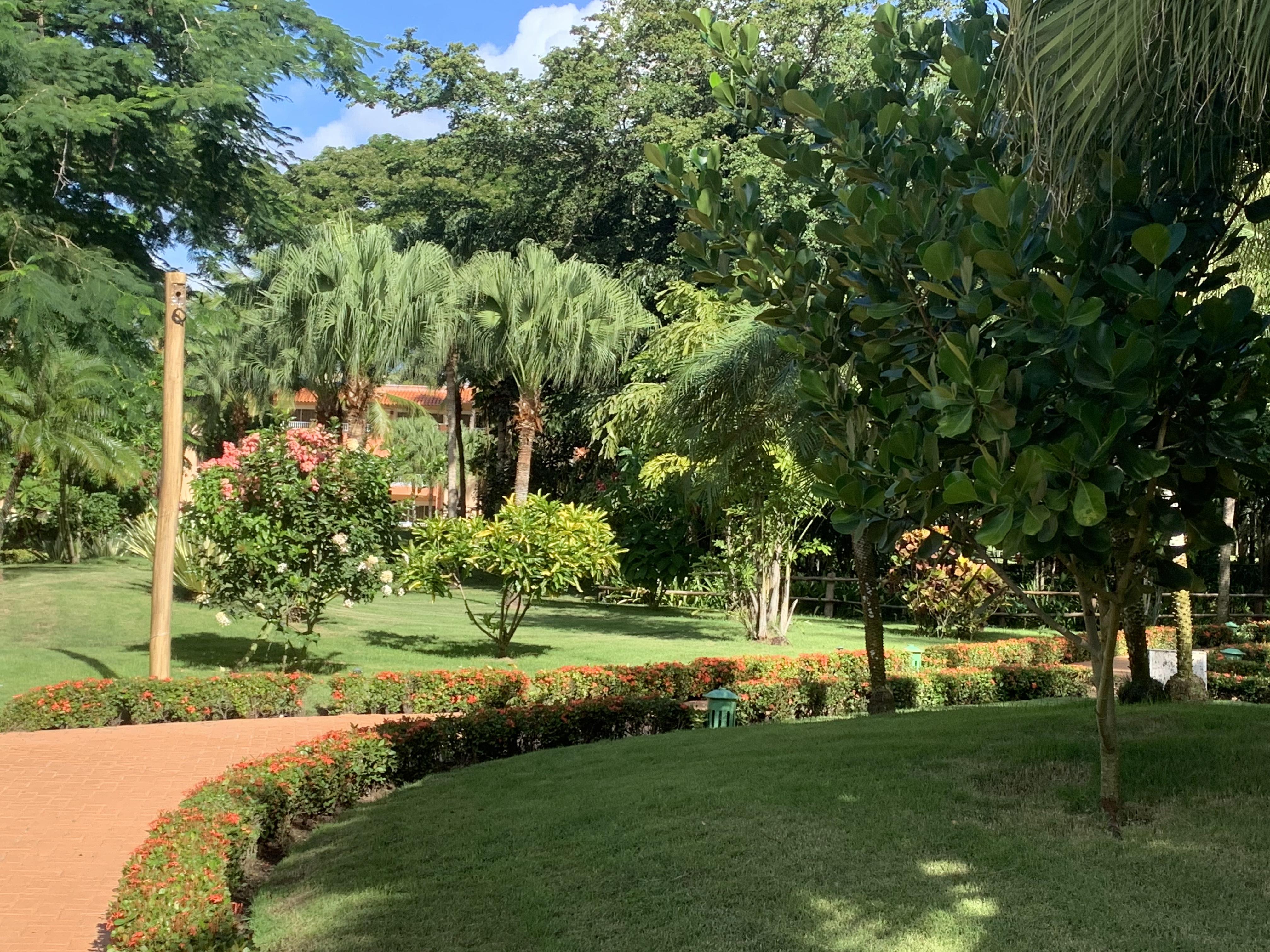 Фото Iberostar Selection Hacienda Dominicus