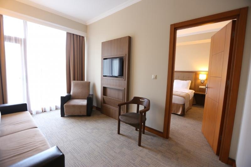 Фото Спутник