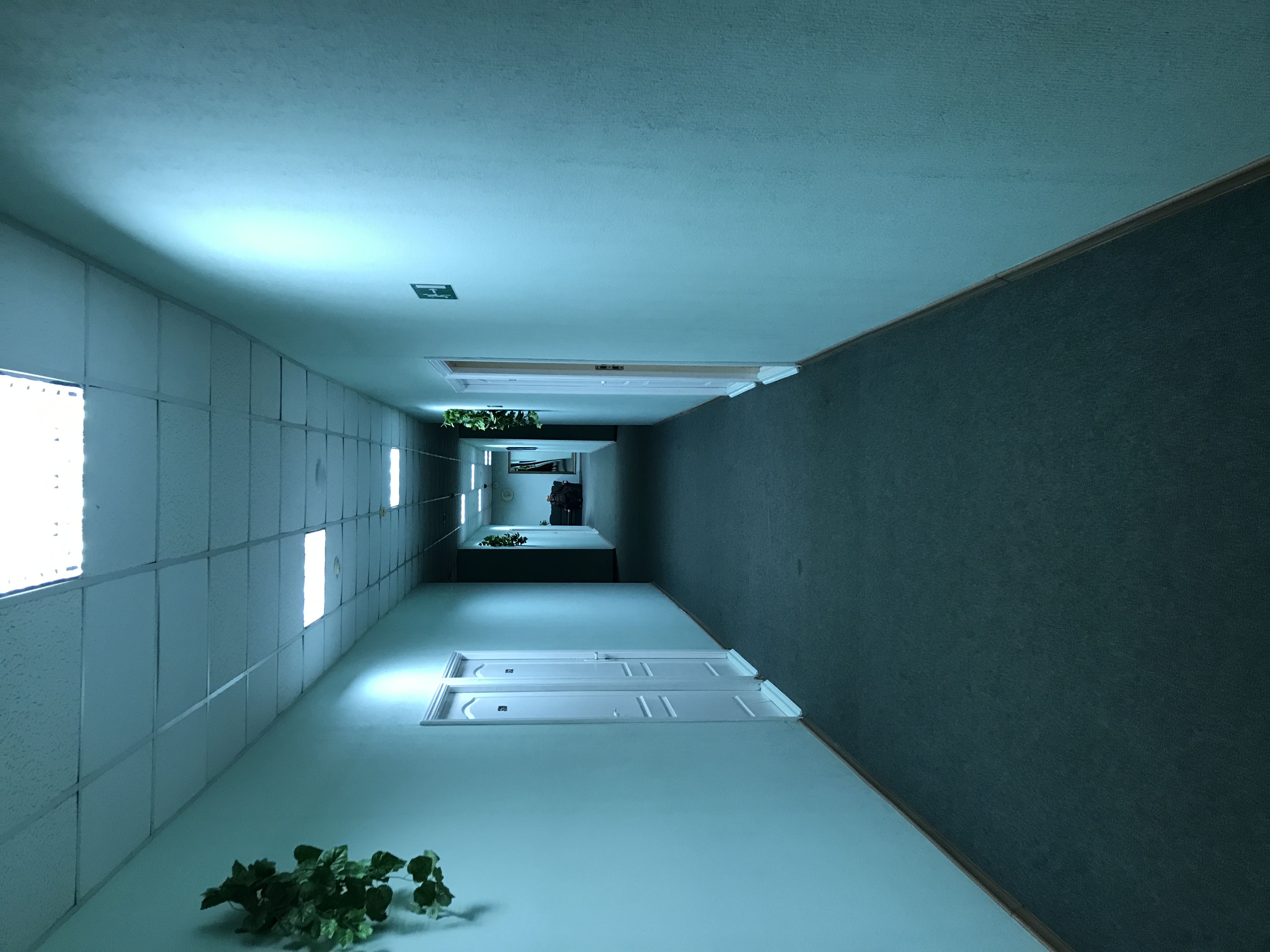 Фото Баринова роща