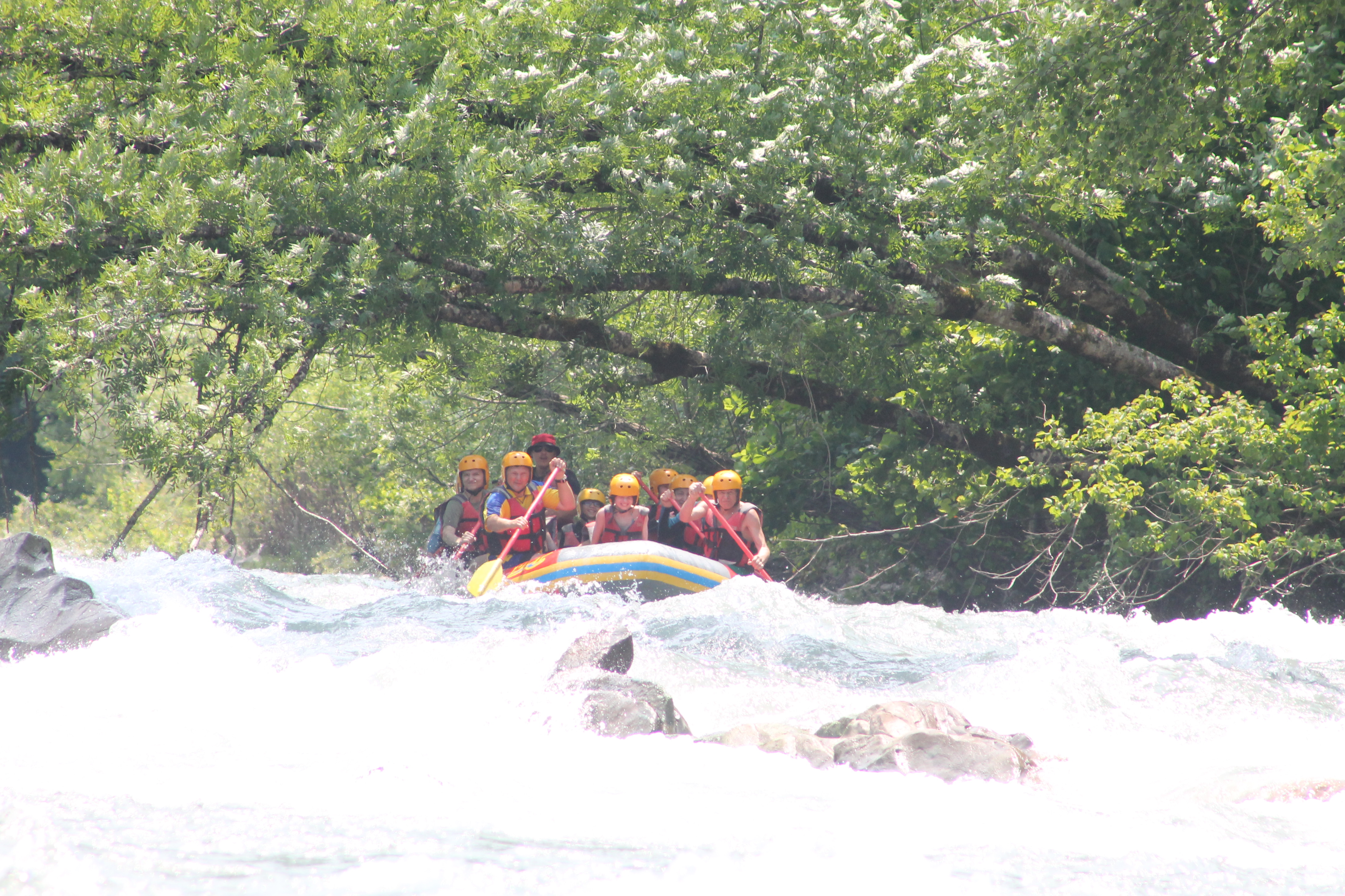 Фото Ореховая роща в Даховской