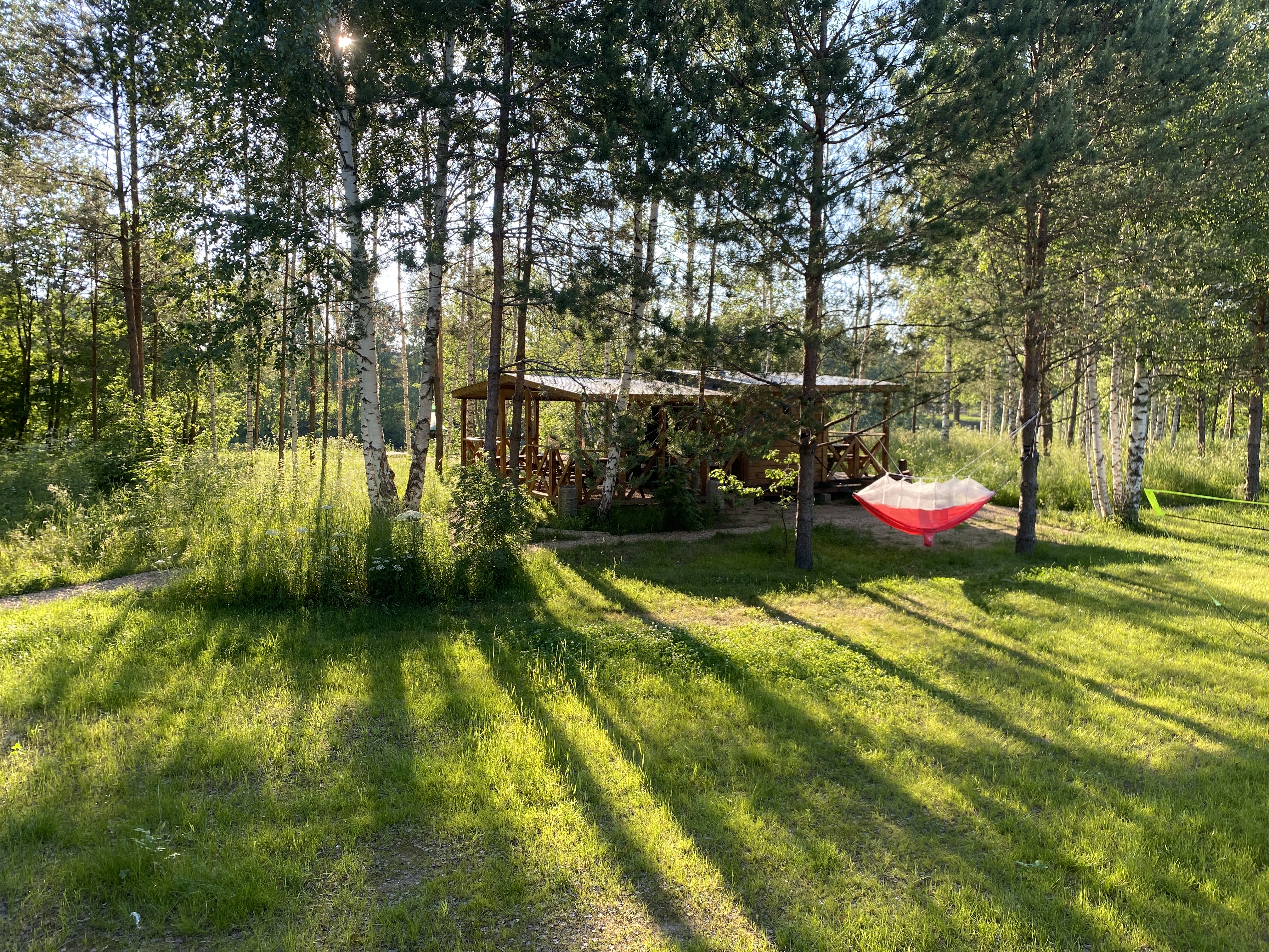 Фото Земляничная поляна