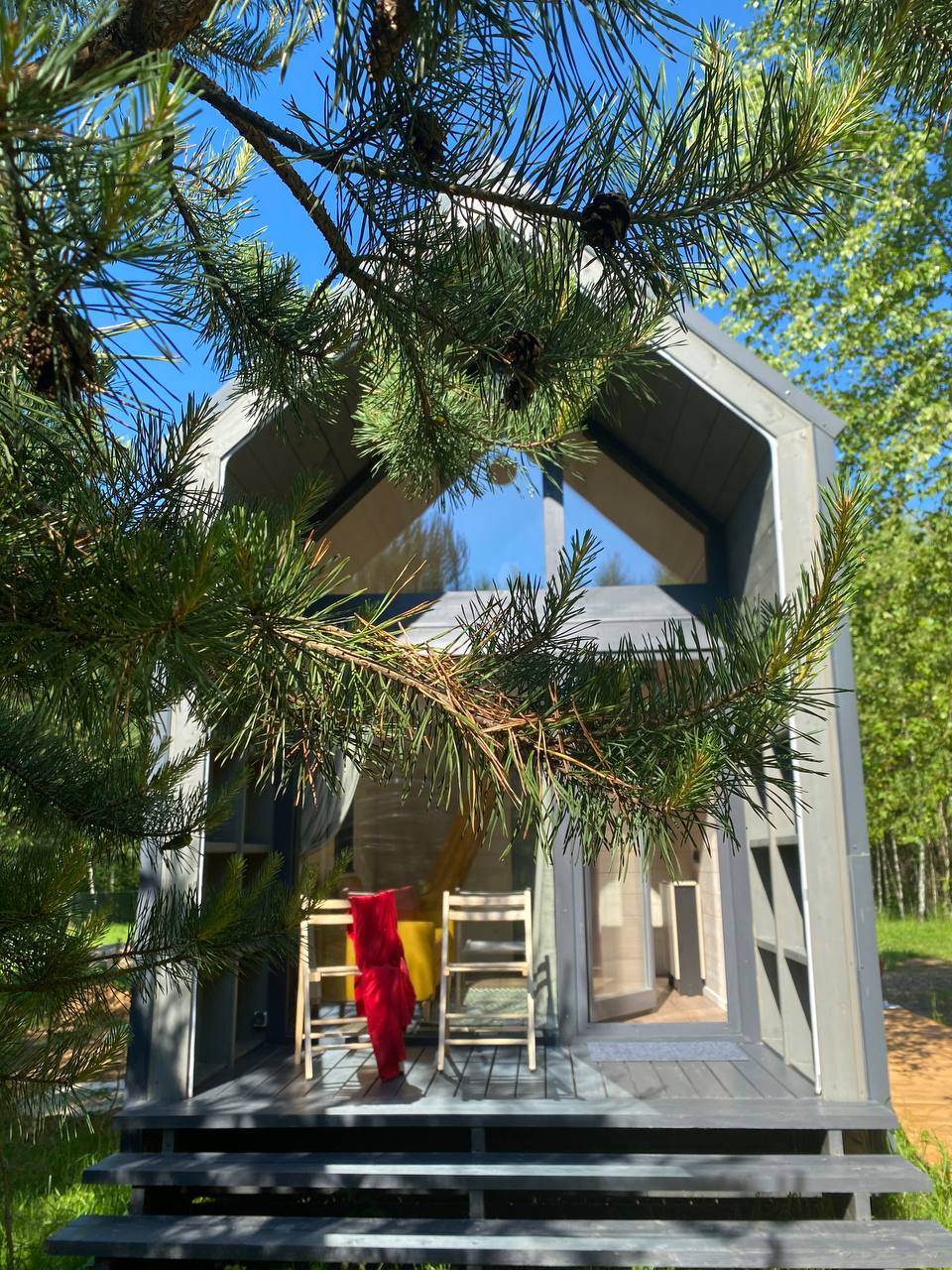 Фото Дыши лесом