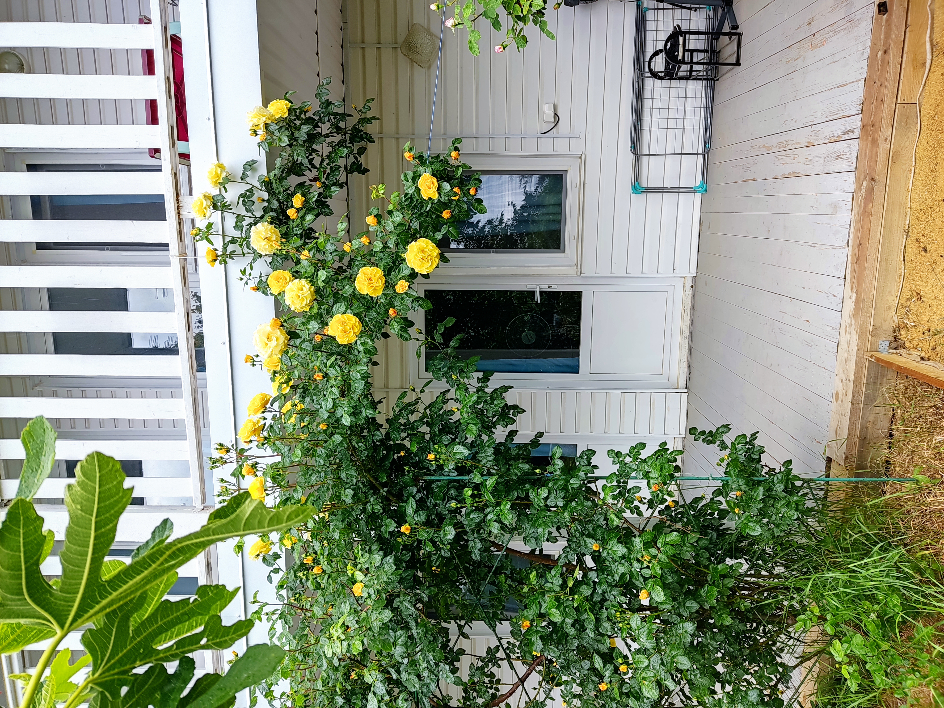 Фото Дом Куклиных