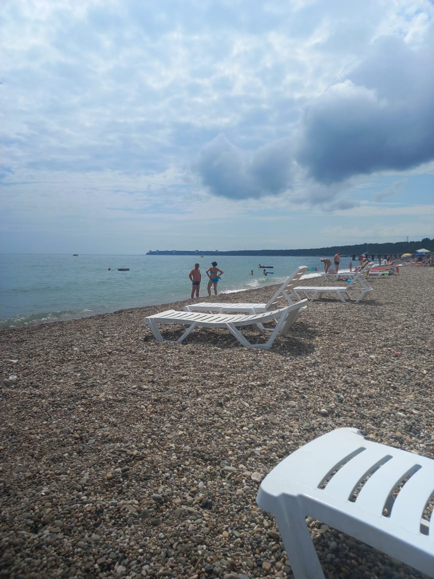 Фото Три Тополя