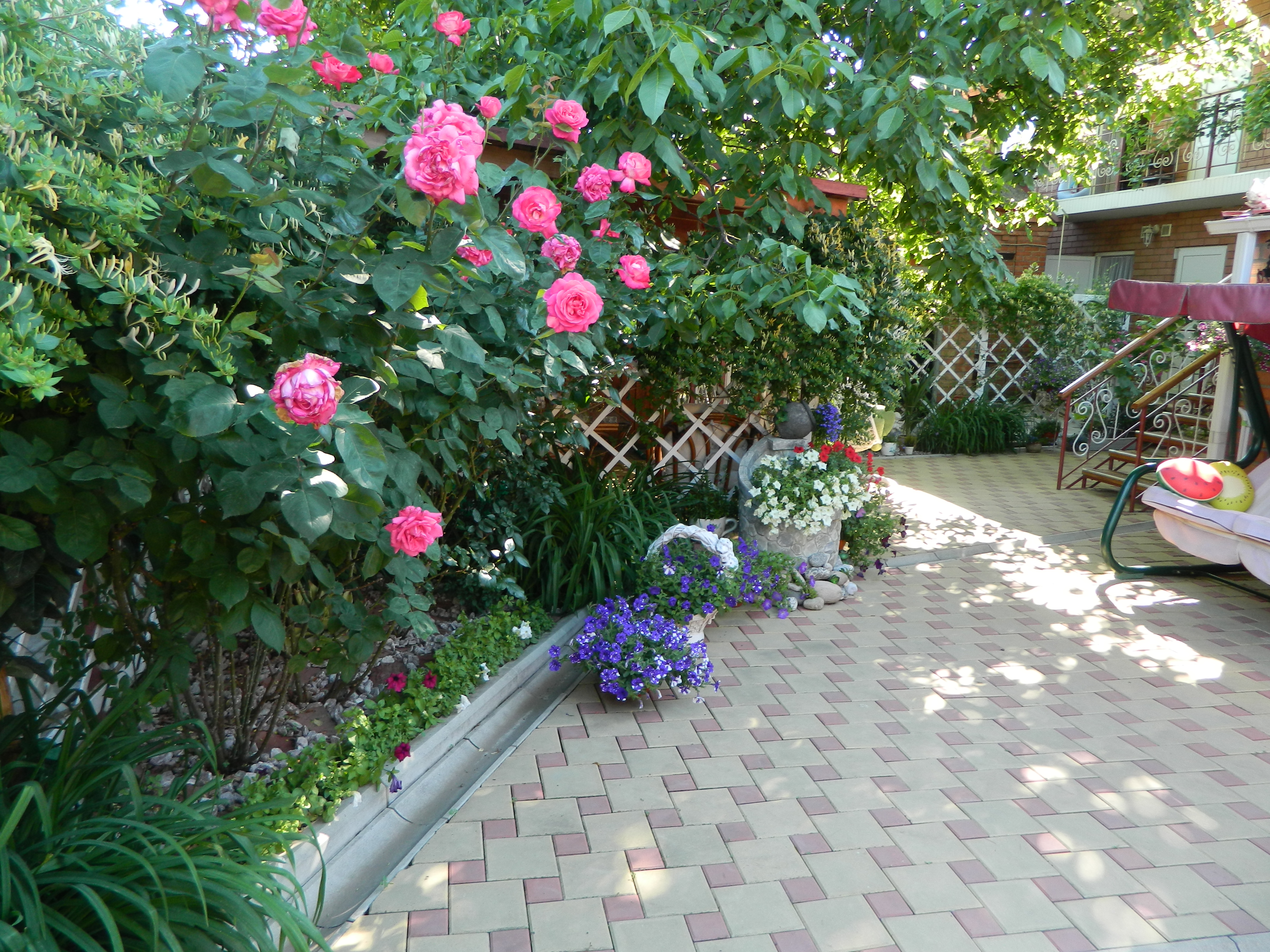 Фото отеля 5